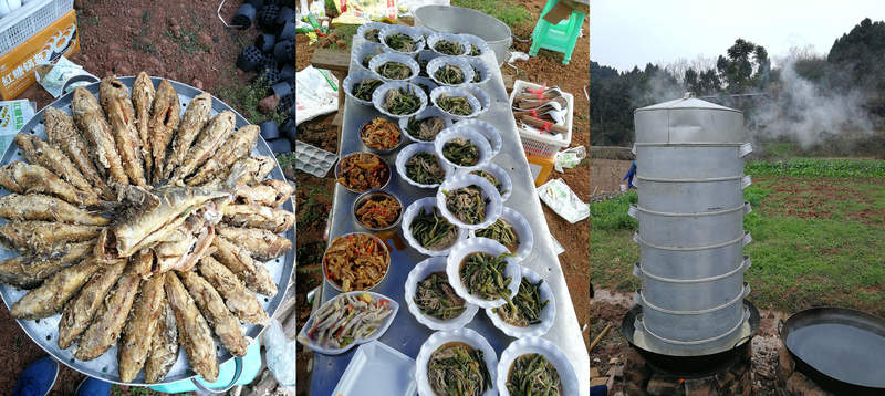 ̫���ɼ��š�tyc122cc(�й�)���޹�˾ - �ٶȰٿ�