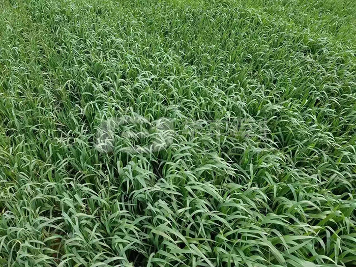 1673559321883675